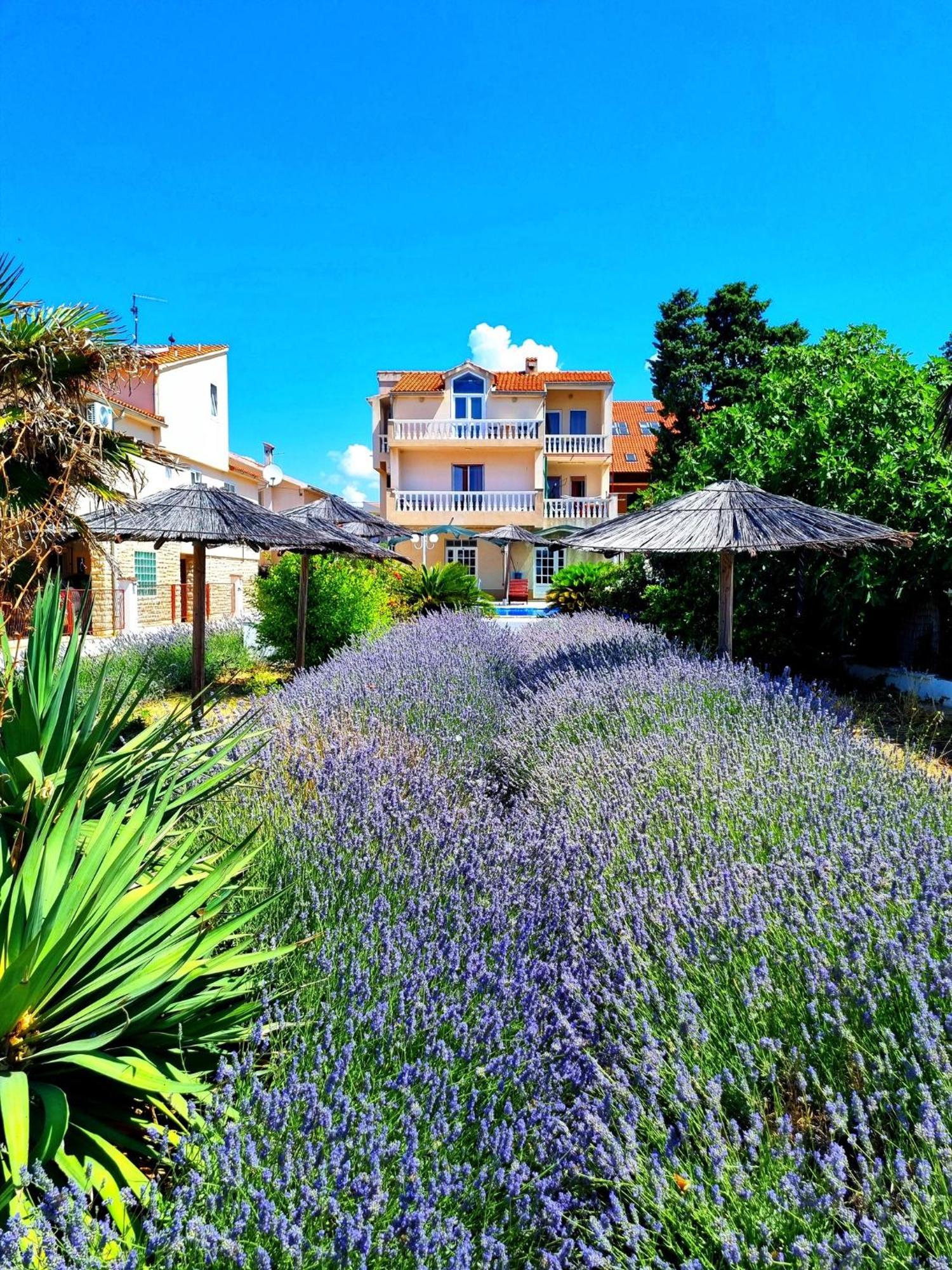 Villa Lana Tribalj Kültér fotó